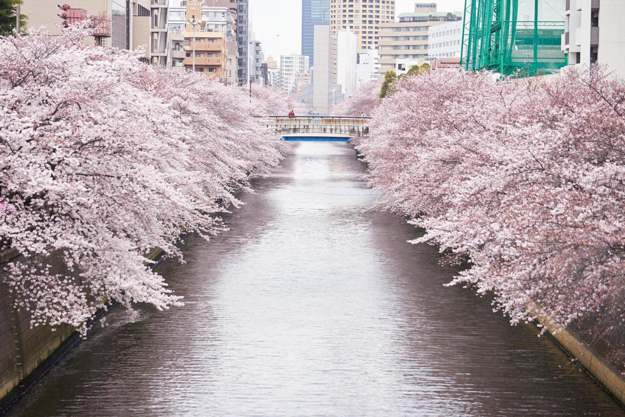 Hotel Gajoen Tokyo — Photos 1